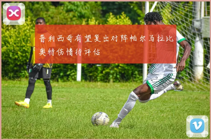 普利西奇有望复出对阵帕尔马拉比奥特伤情待评估