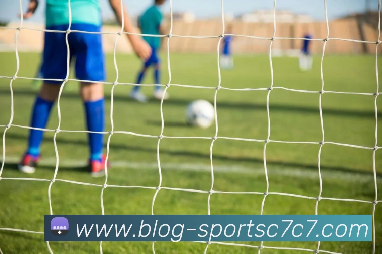 C7C7娱乐平台生态图